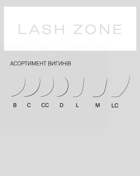 Вії Lash Zone Black вигин LB мікс 22583 фото